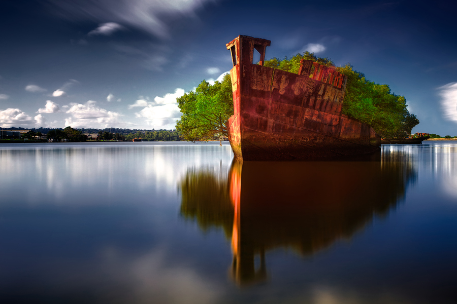 bateau abandonn   devient une for  t flottante     PresseAlgerie fr