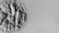 NASA : Nouvelle découverte sur Mars